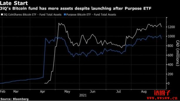 赢者通吃？加拿大比特币ETF BTCQ后来居上
